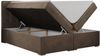 Boxspringbett, Doppelbett, Polsterbett mit Kopfstütze - CARMEN - 160x200cm - Braun Velours - H4 Bild 4