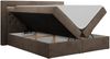 Boxspringbett - Doppelbett mit Multipocket-Matratze und LED - GOLD-6 - 120x200cm - Braun Velours - H3 Bild 4