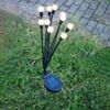 Forever Light Solar Firefly-Lampe SUNARI FLS-89, 10 LEDs Bild 2