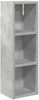 vidaXL Badezimmer-Wandschrank mit Regal Betongrau 20 x 16 x 62,5 cm 889306 Bild 2