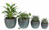 Keramik Blumentopf Eggpot Moosgrün Ø 21cm - Frostfest Pflanzkübel Glasiert Rund Bild 5
