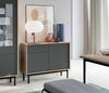 Sideboard Basic Kommode 104x39x84cm 2-türig Jackson Hickory / graphit Bild 2