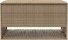 vidaXL Outdoor-Kissenbox Beige 100x55x55,5 cm Poly Rattan 4104144 Bild 4