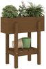 vidaXL Pflanzkübel Honigbraun 62x30x69 cm Massivholz Kiefer 825236 Bild 3