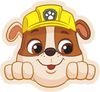 PAW PATROL Dekokissen PAW Patrol Kissen Dekokissen Hundekopf Bild 2