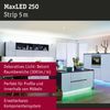 Paulmann No. 79867 MaxLED 250 RGBW Stripe unbeschichtet 5m mit Farbwechsel Bild 2