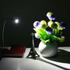 Rosnek LED Klemmtischleuchte LED-Leselicht, Clip-on Schreibtischlampe, USB, Augenschutz, Weißes Licht, Warmes Weiß, Weiße, 360° flexibel Schwanenhals Bild 3