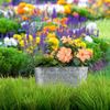 Blumenkasten Metall Bild 2