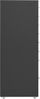 vidaXL Aktenschrank mit Rollen Anthrazit 28x41x109 cm Metall 335923 Bild 3
