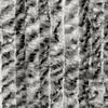 _ProductVariantImage_1bilg_102