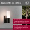 Paulmann 94787 Außenwandleuchte Tralia E27 Anthrazit Aluminium IP44 Bild 2