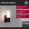 Paulmann 94787 Außenwandleuchte Tralia E27 Anthrazit Aluminium IP44 Bild 4