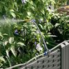 vidaXL Garten-Pflanzgefäß 5 pcs Schwarz 120 x 120 x 142 cm Kunststoff 42002856 Bild 5