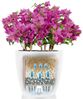 LECHUZA Blumentopf Classico Color 28 Komplett-Set Hochglanz Weiß 13190 421430 Bild 5