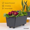 KONZEPT Blumenkasten Blumentöpfe mit Füßen, rechteckig – kleine Blumenkästen 4,2 L (1 St), 284x168x173 mm, ideal für Fensterbank & Zimmerpflanzen Bild 4