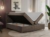 Boxspringbett Doppelbett Polsterbett Kunstlederbett mit Bettkasten - ROMA - 200x200cm - Braun Velours - H4 Bild 2