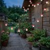 Solar Lichterketten, 12x LED Fliegenpilze, weiß-rot, Bild 4