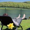 Relaxdays Zaunblende grün 1m Bild 5
