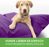 Green Bean® Hundebett für mittlere & große Hunde 120x160cm Hundekissen - Lila Bild 5