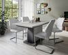 Homexperts 'BÄRBEL' Säulentisch mit Auszug 140cm, Esszimmertisch, grau, auf 190 cm ausziehbar, Melamin Light Atelier anthrazit, Beton-Optik, 140-190 x 75 x 80 cm Bild 2