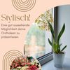 GarPet Blumentopf 4er Set Orchideentopf Transparent Orchideen Über Innen 16 rauchfarbig Bild 3
