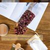 Glasbehälter Vorratsdosen Luftdicht Löffel Overnight Oats Gläser Kaffee Tee Bild 5