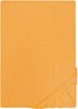 Biberna Jersey-Spannbetttuch, 100 % Baumwolle, Safran, 1x 140x200 cm - 160x200 cm Bild 2