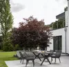 Tisch Granada 200x90cm dark grey Aluminium Bild 4
