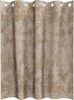 vidaXL Samtvorhänge mit Vorhängen 2 pcs Champagner 140 x 140 cm Samt 4107673 Bild 4