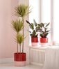 Dehner Übertopf Anne, rund, Keramik, zweifarbig glasiert, handgefertigter Indoor Blumentopf in modernen Farben Bild 2
