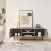Fernsehtisch Starvili mit 2 Türen 120x40x45 cm Grau [en. casa] Bild 2