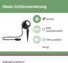 Paulmann 94775 Plug&Shine LED Gartenstrahler Kikolo 3000K IP65 20° Bild 2