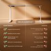Desktronic HomeOne Elektrisch höhenverstellbarer Schreibtisch 120x60cm Weiß/Grau mit Memory-Funktion, Anti-Kollisions Technologie, USB-A und USB-C-Ladeanschlüssen Bild 5