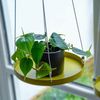 esschert design Blumenkasten Pflanzen Tablett rund goldgelb zum aufhängen Blumen Topf Halter Deko Bild 2