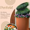 GarPet Pflanzkübel Pflanzkübel Groß Außen Pflanzkübel Halbrund an der Wand Blumenkübel 50 Bild 3