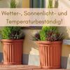 GarPet Pflanzkübel Pflanzkübel Groß Außen Pflanzkübel Halbrund an der Wand Blumenkübel 50 Bild 4