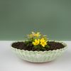 matches21 HOME & HOBBY Blumentopf Pflanzschale für draussen Dekoschale rund grün marmoriert 22 cm (1 St), Blumen-Schale als wetterfeste Friedhof-Schale Grab-Schmuck Grabschale Bild 4