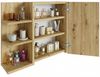 TREND WERK Spiegelschrank Badezimmer mit Ablage & Stauraum (59×16×50 cm Hängender Badezimmerschrank zur Wandmontage mit Regal) – modern & pflegeleicht Bild 3