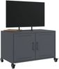 vidaXL TV-Schrank Anthrazit 68x39x43,5 cm Kaltgewalzter Stahl 846640 Bild 5