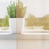 vidaXL Voile Vorhänge mit Schlaufen 2 Stk. Sandfarbe 140x140 cm 4102306 Bild 3