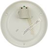 LED Deckenleuchte rund, Schliffglas satiniert, Dekorring Messing poliert, Ø 35cm Bild 3