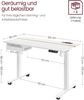 Vasagle Höhenverstellbarer Schreibtisch elektrisch, mit Steckdose und Schublade, stufenlos verstellbar, Memory-Funktion mit 4 Höhen, weiß, Tischoberfläche 60x120 cm Bild 4