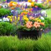 Blumenkasten Metall Bild 2