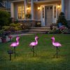 6x LED Solarleuchte, Flamingo, Erdspieß, Akku, H 52 cm Bild 4