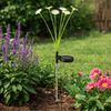 2er Set LED Solar Steckleuchte, Blumen, H 70 cm Bild 5