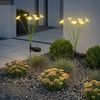 2er Set LED Solar Steckleuchte, Blumen, H 70 cm Bild 2