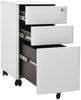 vidaXL Aktenschrank mit Rollen Hellgrau 30x45x59 cm Stahl 335983 Bild 5