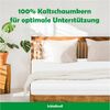 Kaltschaummatratze 15 cm H2/H3 ergonomische 7-Zonen Wendematratze, Schlaftroll, 15 cm hoch, 90x200 cm, 140x200 cm, 180x200 cm und weitere Größen Bild 2