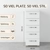 rauch Schubkastenkommode Highboard Sideboard Kommode MONTCLAR Frontauswahl Dekor/Hochglanz/Glas (in 2 Breiten: 40 oder 80 cm / Höhe 100 cm, inkl. Soft-Close-Funktion), mit 5 geräumigen Schubladen, viele Griffvarianten MADE IN GERMANY Bild 3