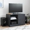 vidaXL TV-Schrank Schwarz 67x39x44 cm Stahl 841691 Bild 3